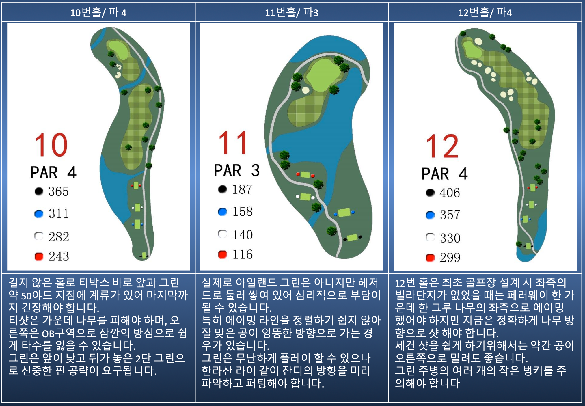 Hole 10 Map