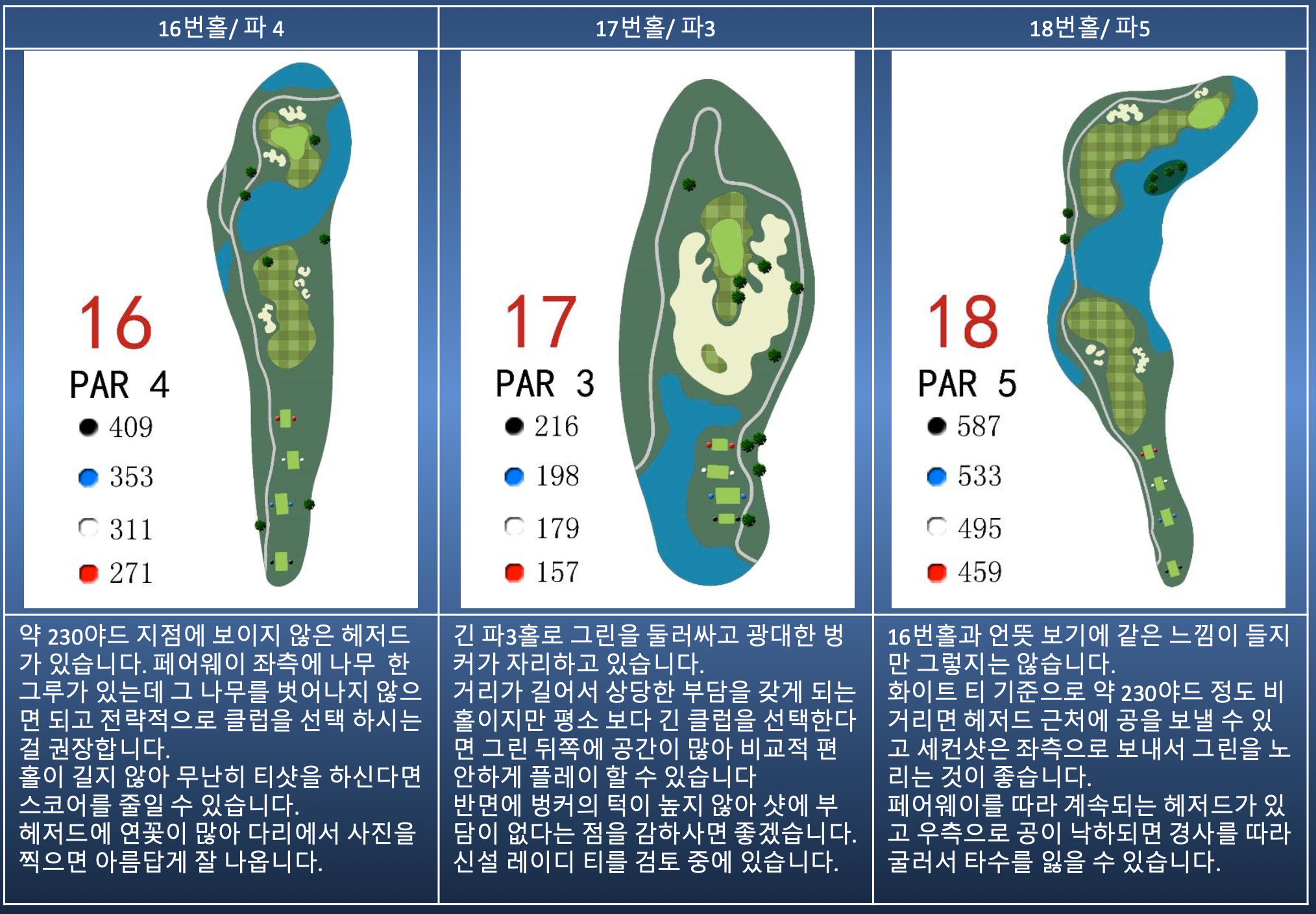 Hole 16 Map