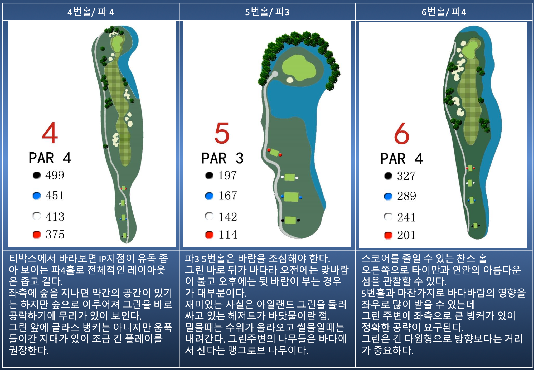 Hole 4 Map