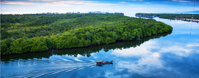 Botum Sakor National Park