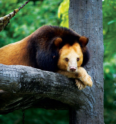 Botum Sakor National Park